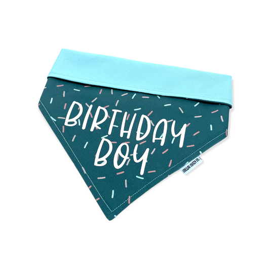 Birthday Boy Bandana