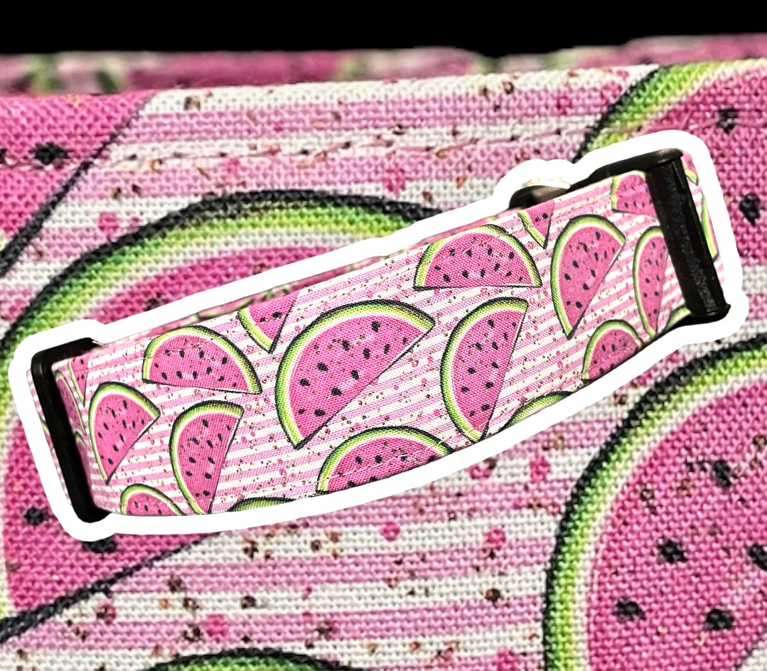 Striped Watermelon Dog Collar - Martingale or Buckle Style - Embroidery Available