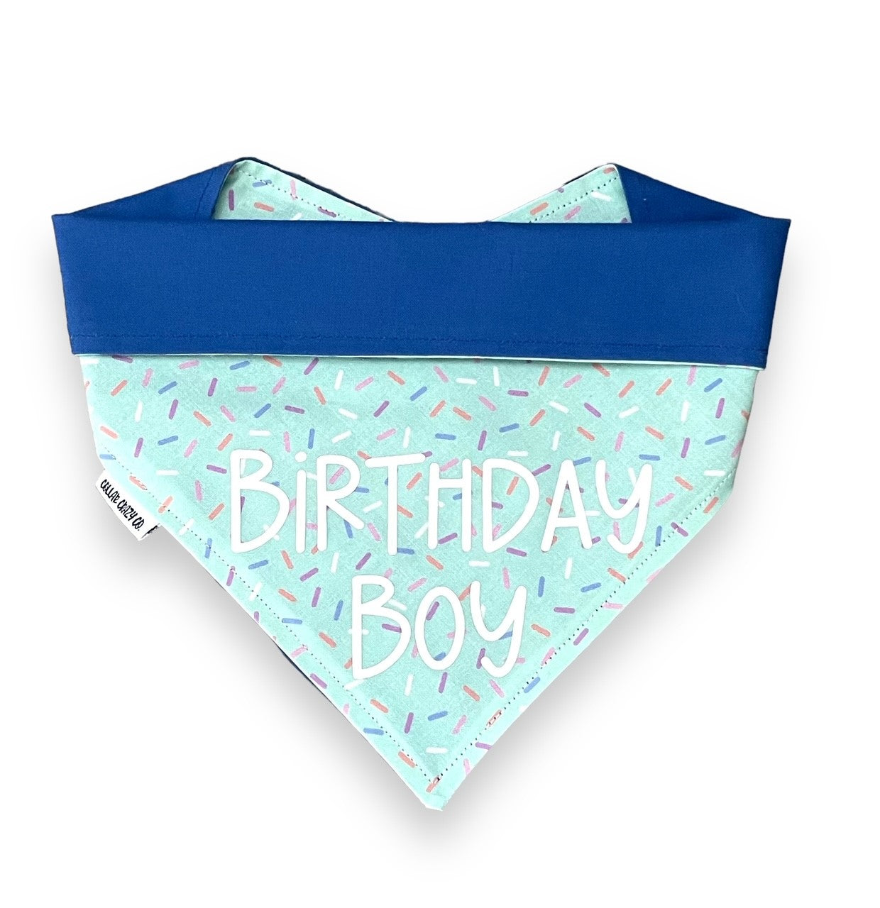 Sprinkles Birthday Bandana - Mint Green