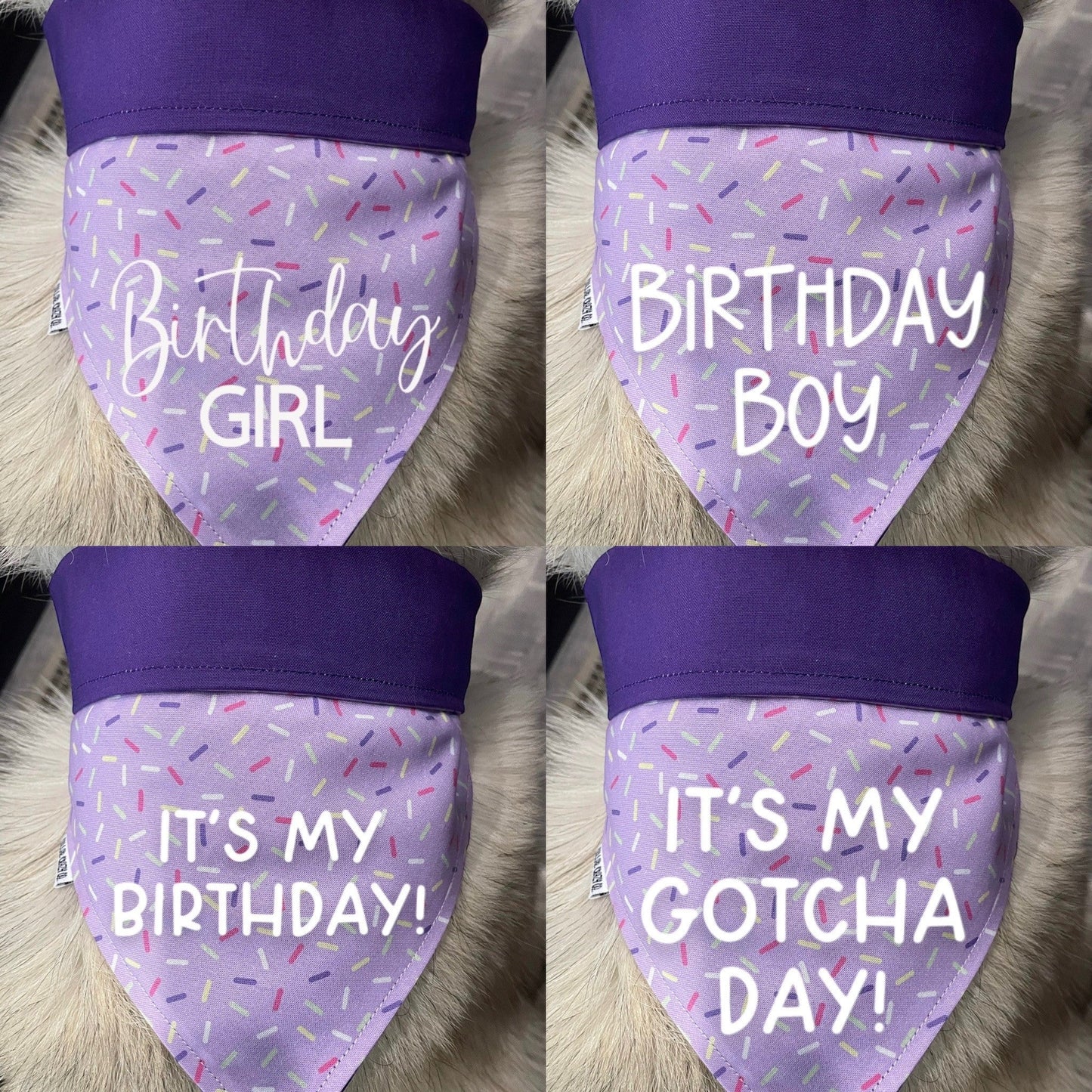 Sprinkles Birthday Bandana - Purple