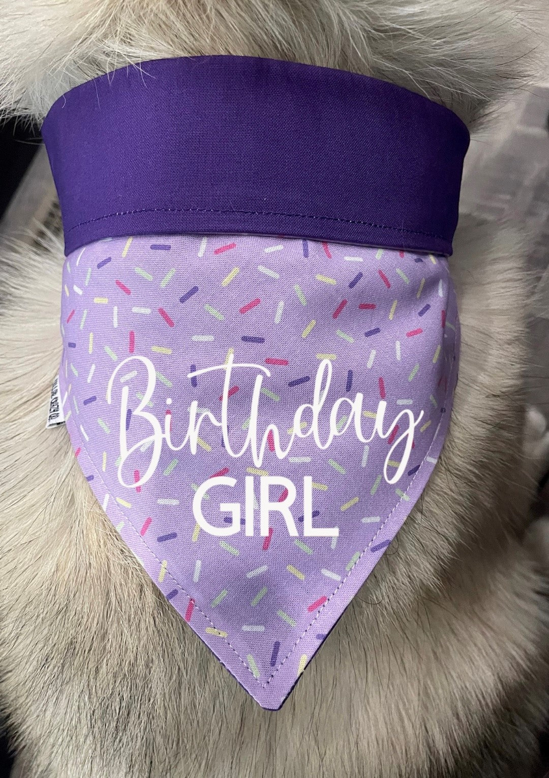 Sprinkles Birthday Bandana - Purple