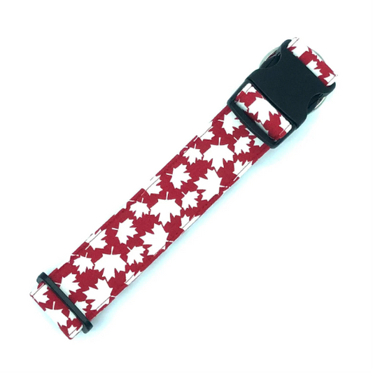 Canada Maple Leaf Dog Collar - Martingale or Buckle Style - Embroidery Available