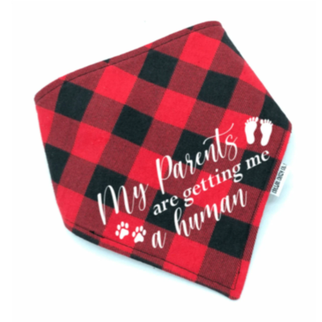 My Parents are getting me a human Announcement Pet Bandana