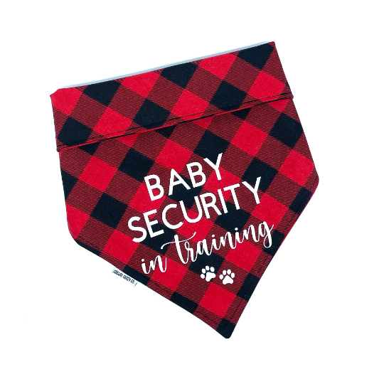 Baby Security In Training Announcement Pet Bandana