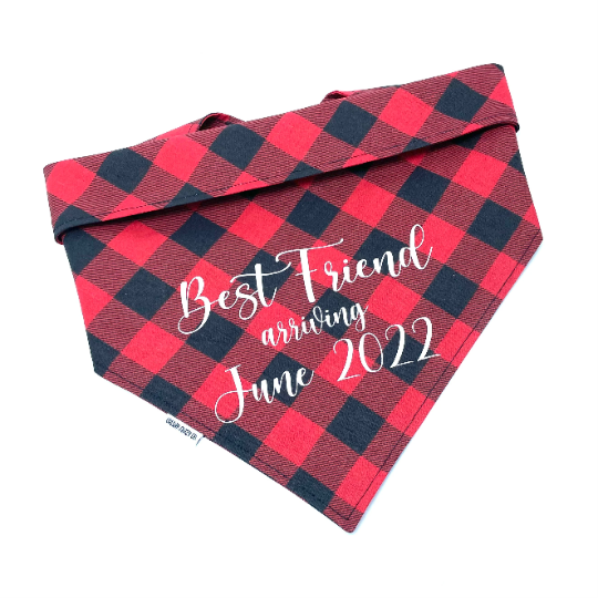 Best Friend Arriving Announcement Pet Bandana