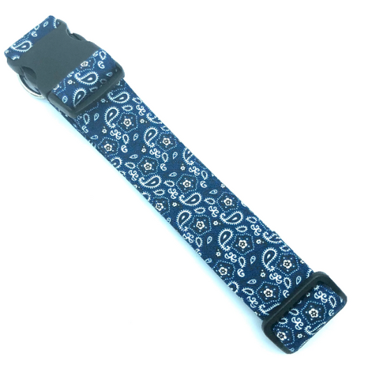 Blue Paisley Dog Collar - Martingale or Buckle Style - Embroidery Available