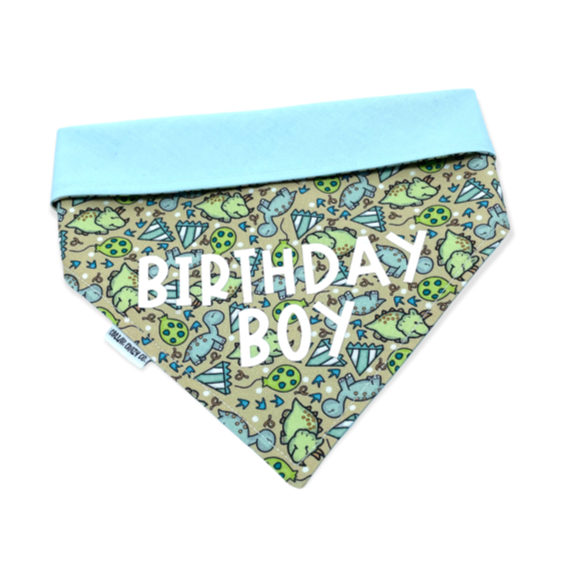 Blue & Green Dinosaur Birthday Boy Bandana