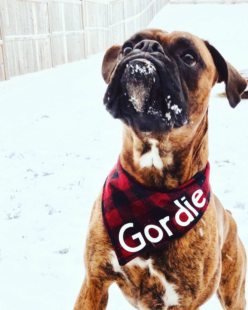 Calgary Flames Snap On Bandana