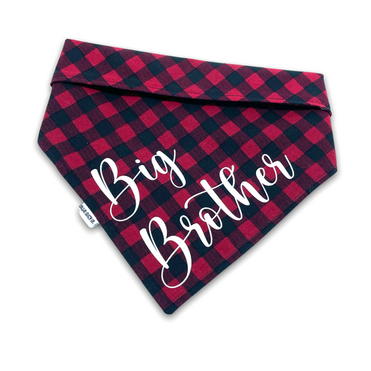 Big Brother Announcement Pet Bandana