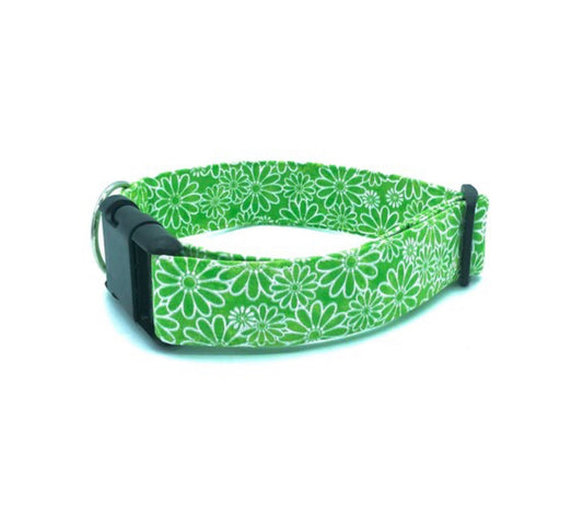 Light Green Daisy Dog Collar - Martingale or Buckle Style - Embroidery Available