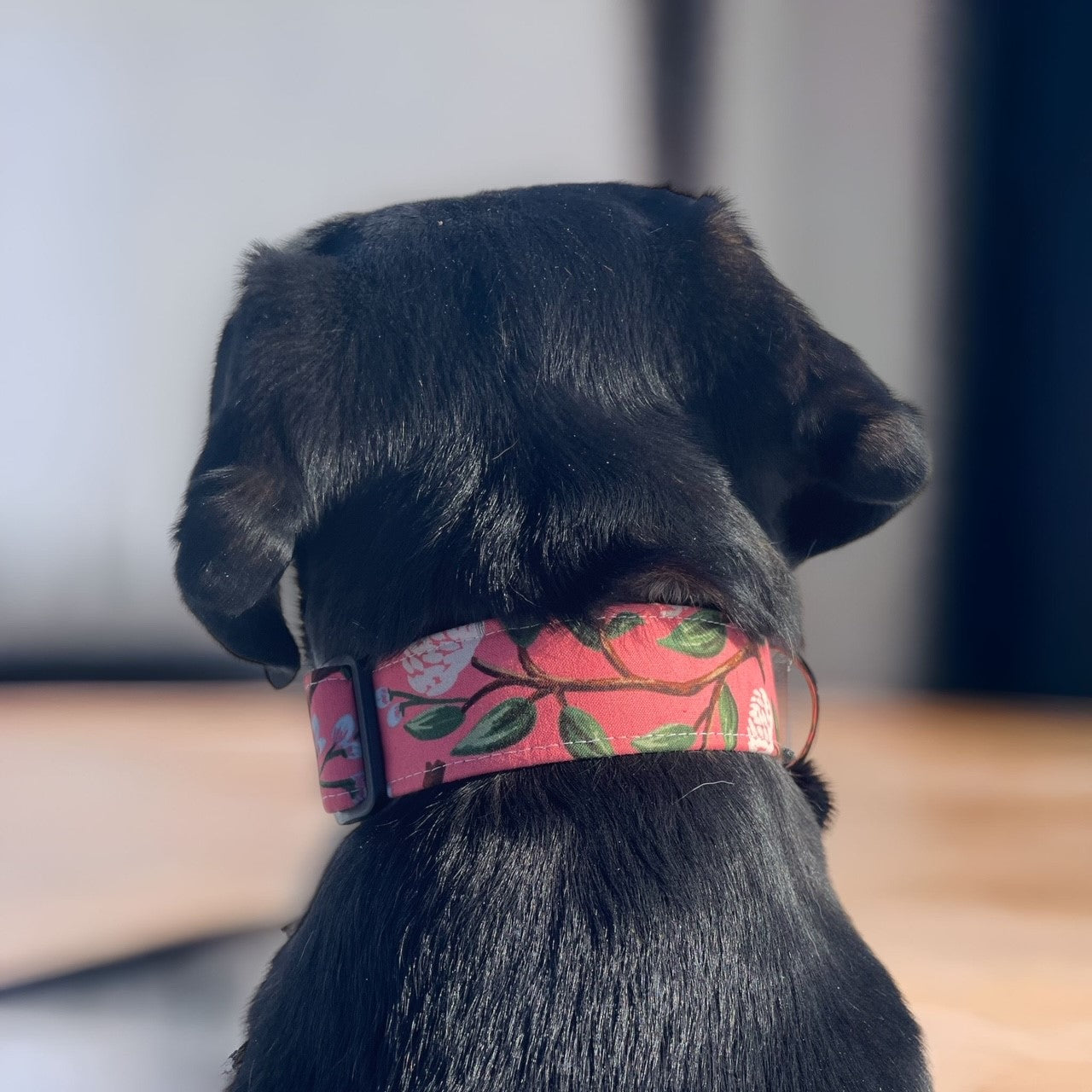 Pink Peony Dog Collar - Martingale or Buckle Style - Embroidery Available