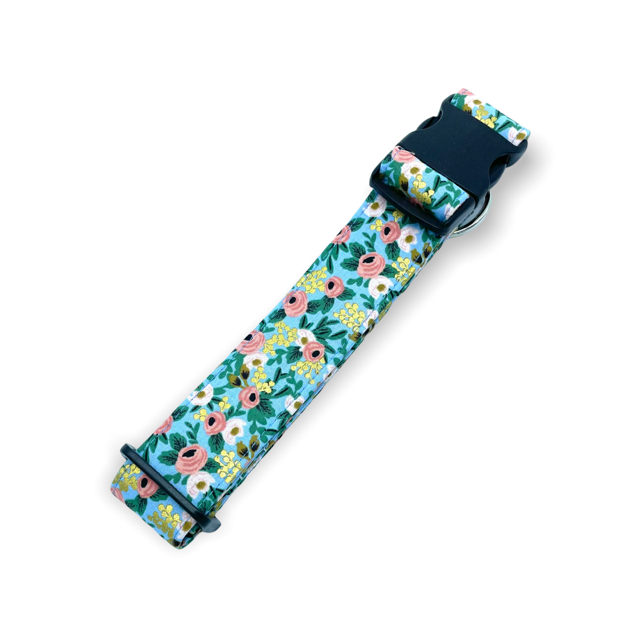 Dog Collars