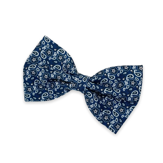 Blue Paisley Bow